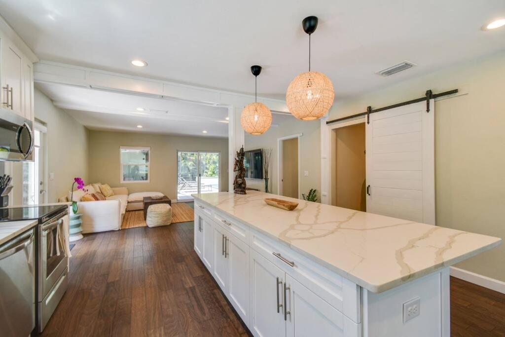 Luxury Home In The Heart Of South Tampa & Pool! Extérieur photo