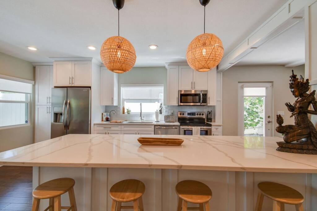Luxury Home In The Heart Of South Tampa & Pool! Extérieur photo