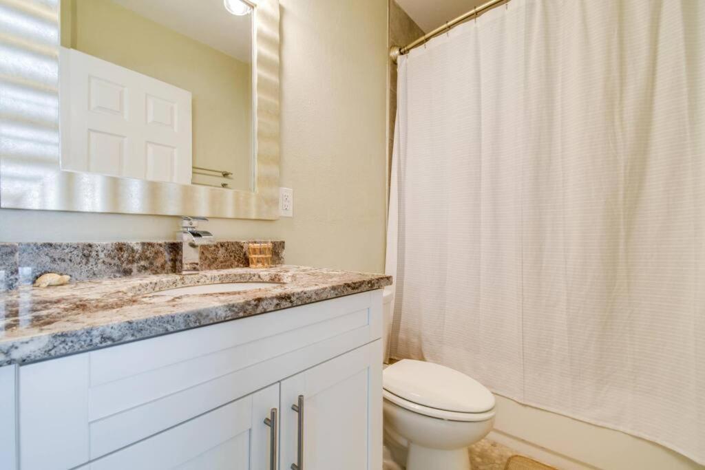Luxury Home In The Heart Of South Tampa & Pool! Extérieur photo