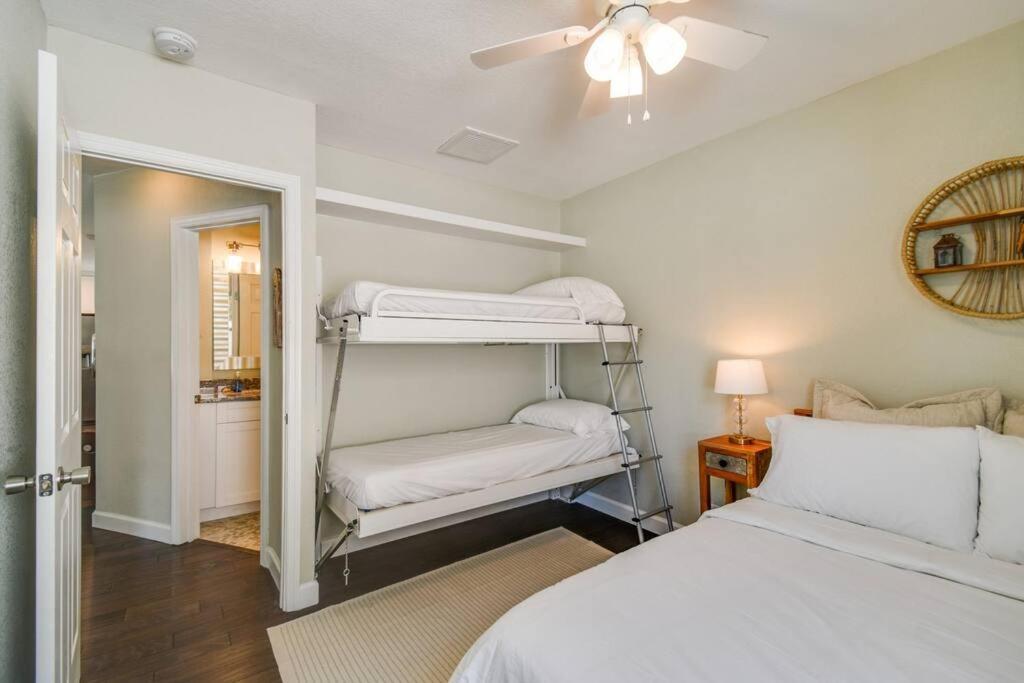 Luxury Home In The Heart Of South Tampa & Pool! Extérieur photo